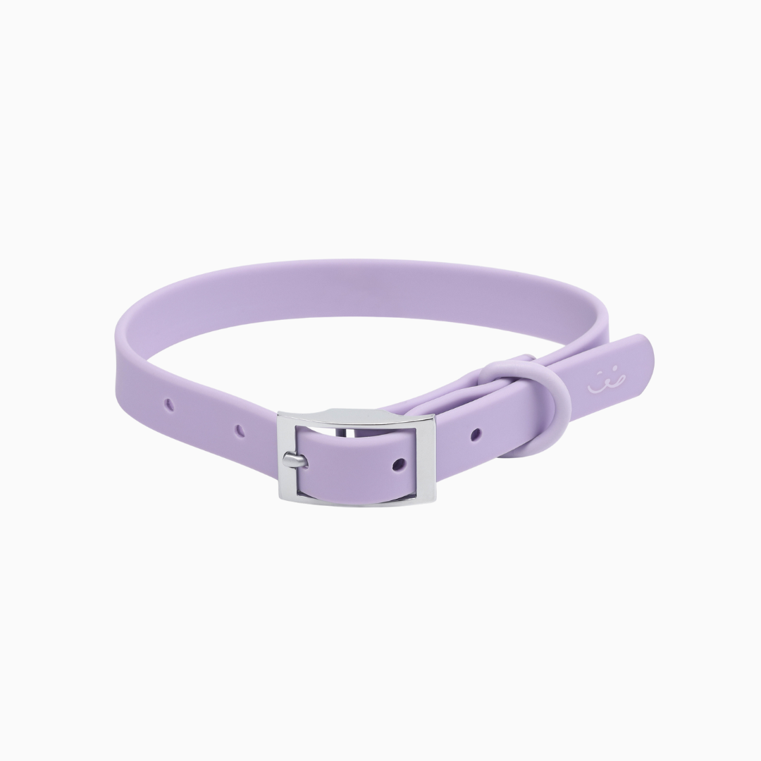 Collar - Lavender