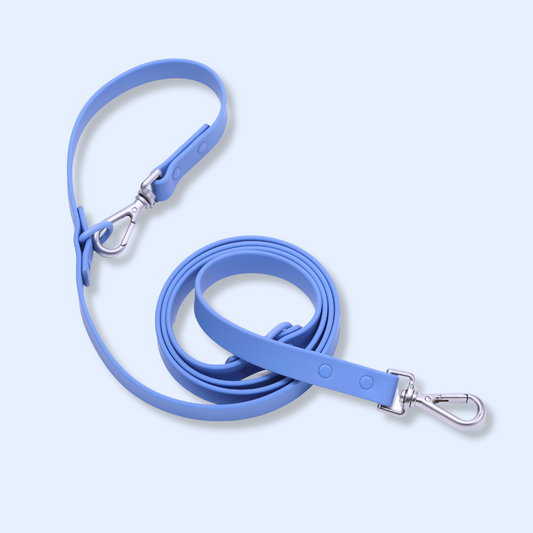 light blue dog leash