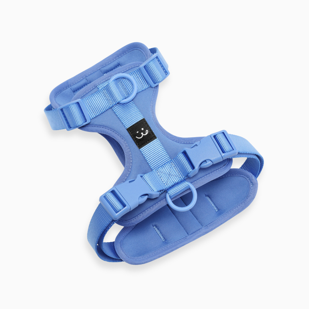 Padded Dog Harness – Sky Blue – Front View