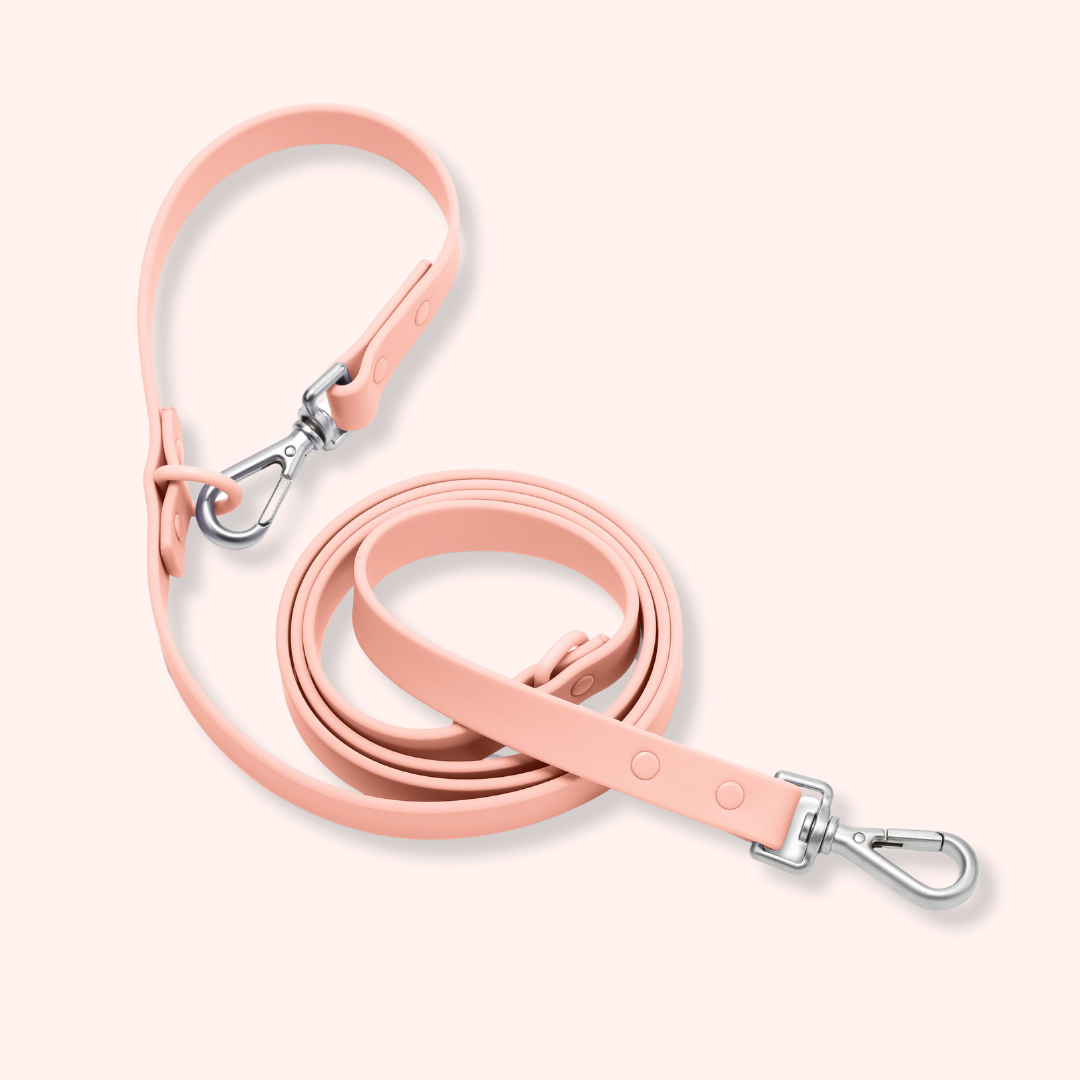 blush pink dog leash