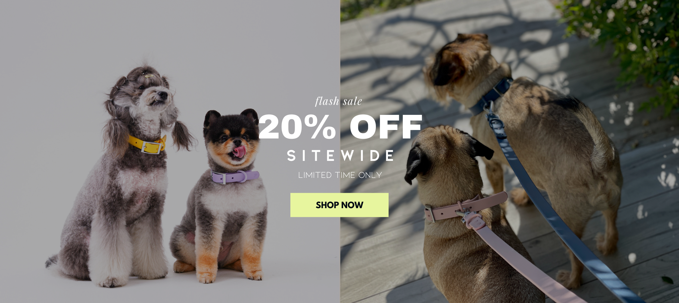 dog-accessories-online-pet-owner-apparel-on-sale