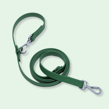 green dog leash for dogs