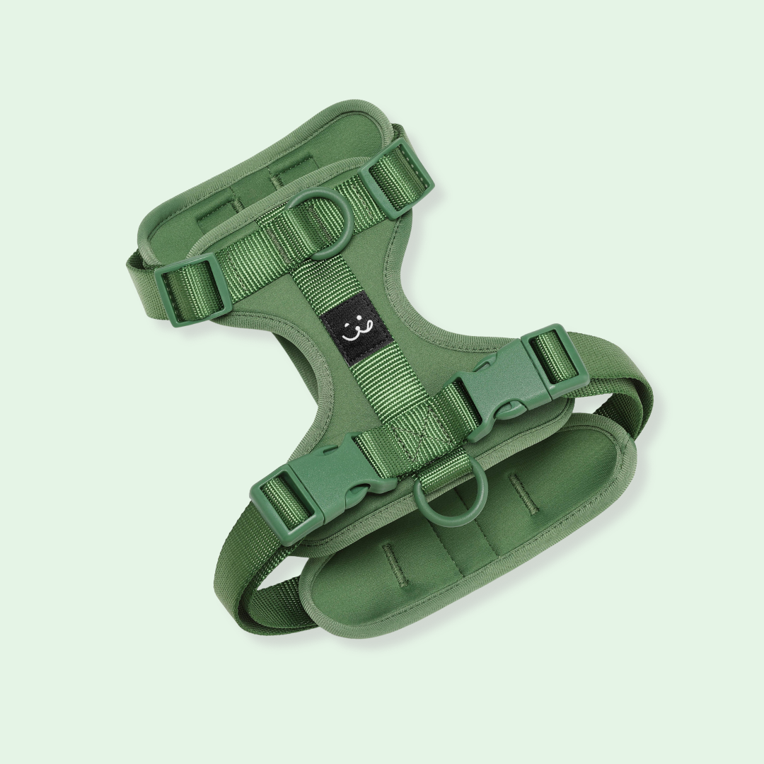 green padded dog harness