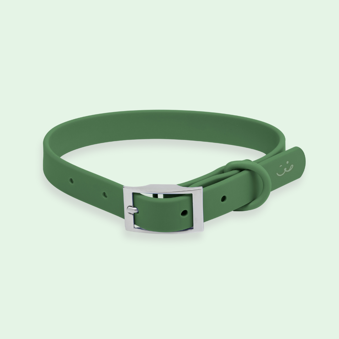 green waterproof dog collar