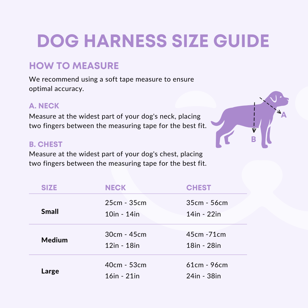 how to measure a dog harness