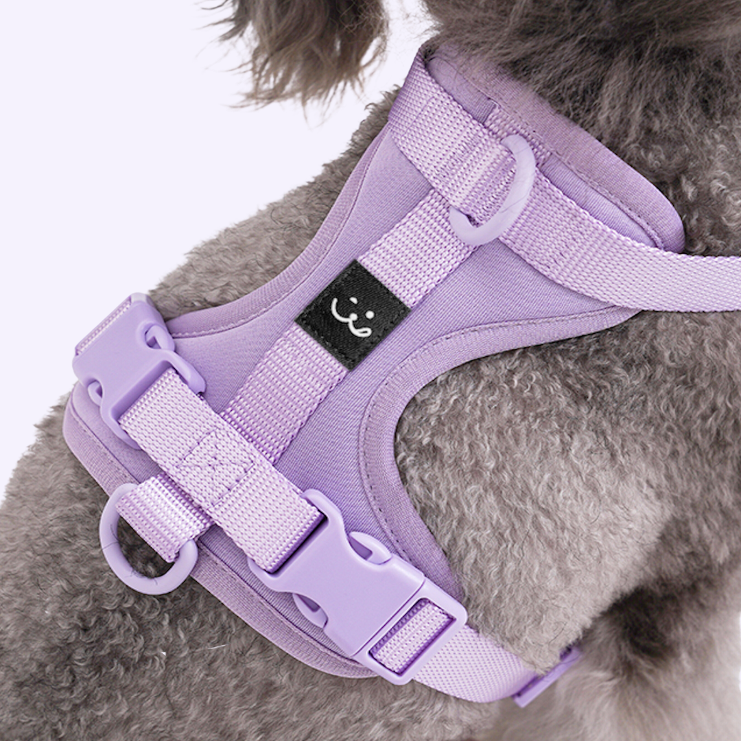 lavender dog harness