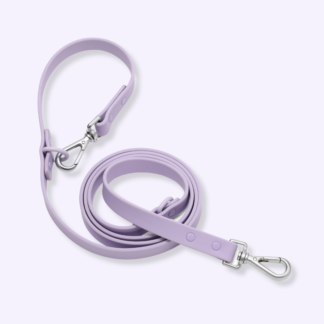 lavender purple dog leash adjustable