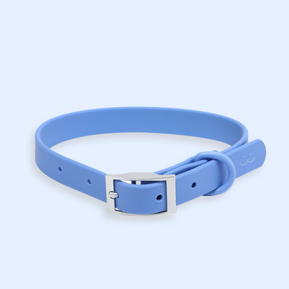 light blue dog collar