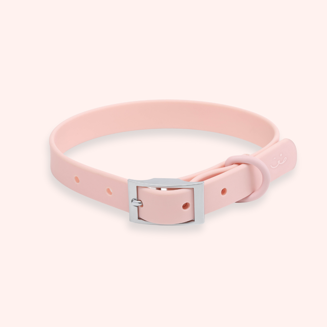 light pink designer dog collar