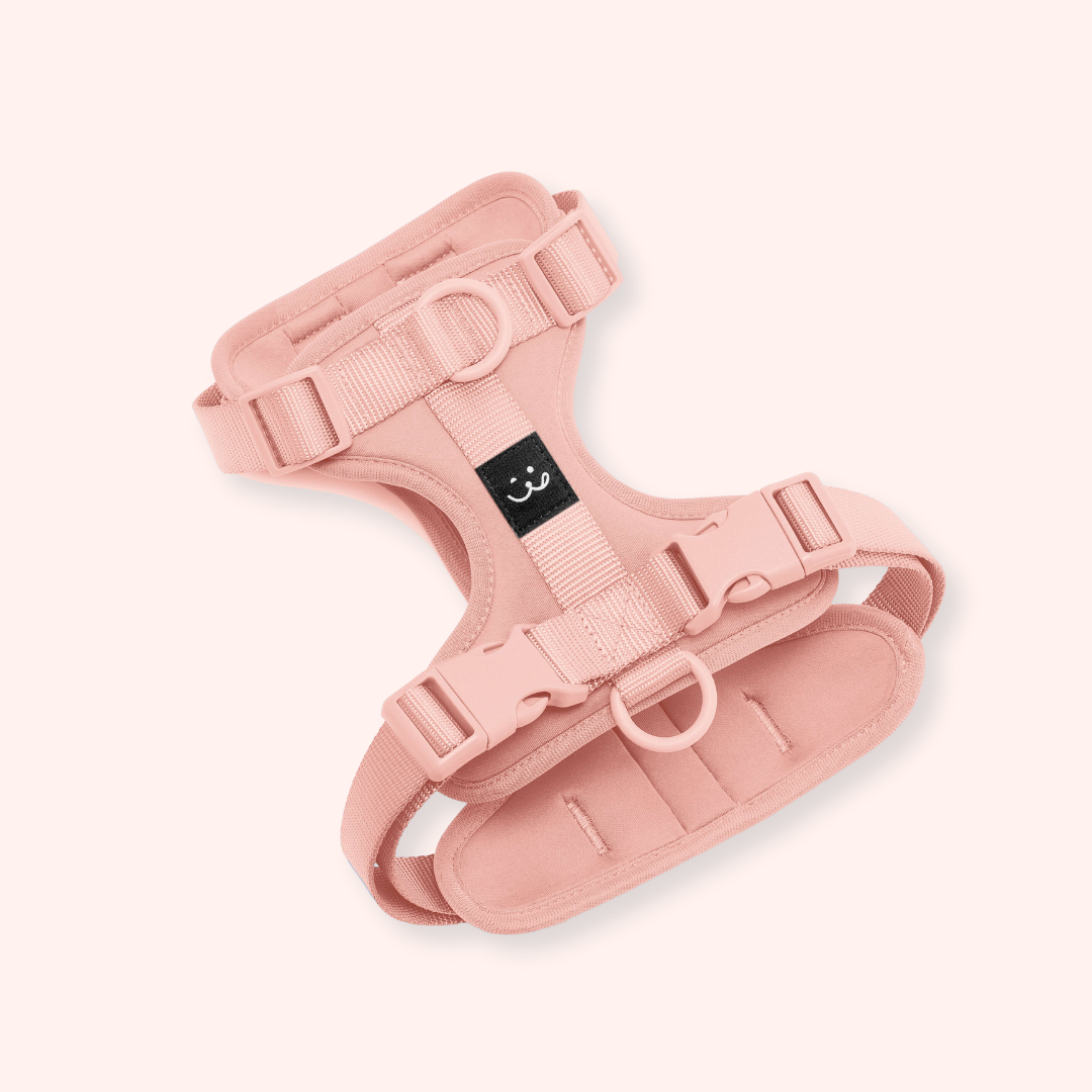 light pink dog harness