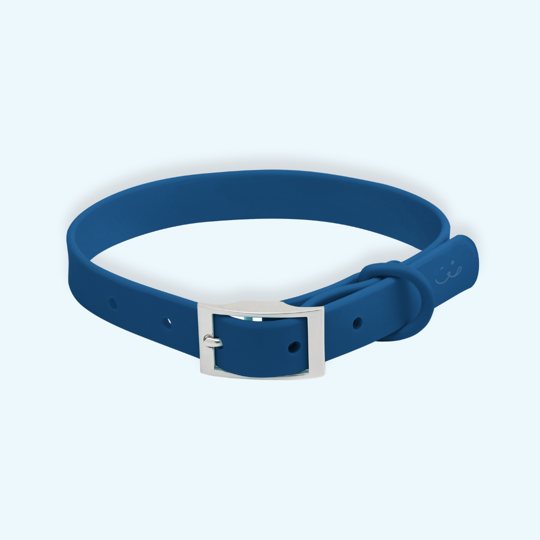 navy blue dog collar