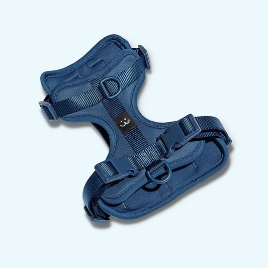 navy blue padded dog harness