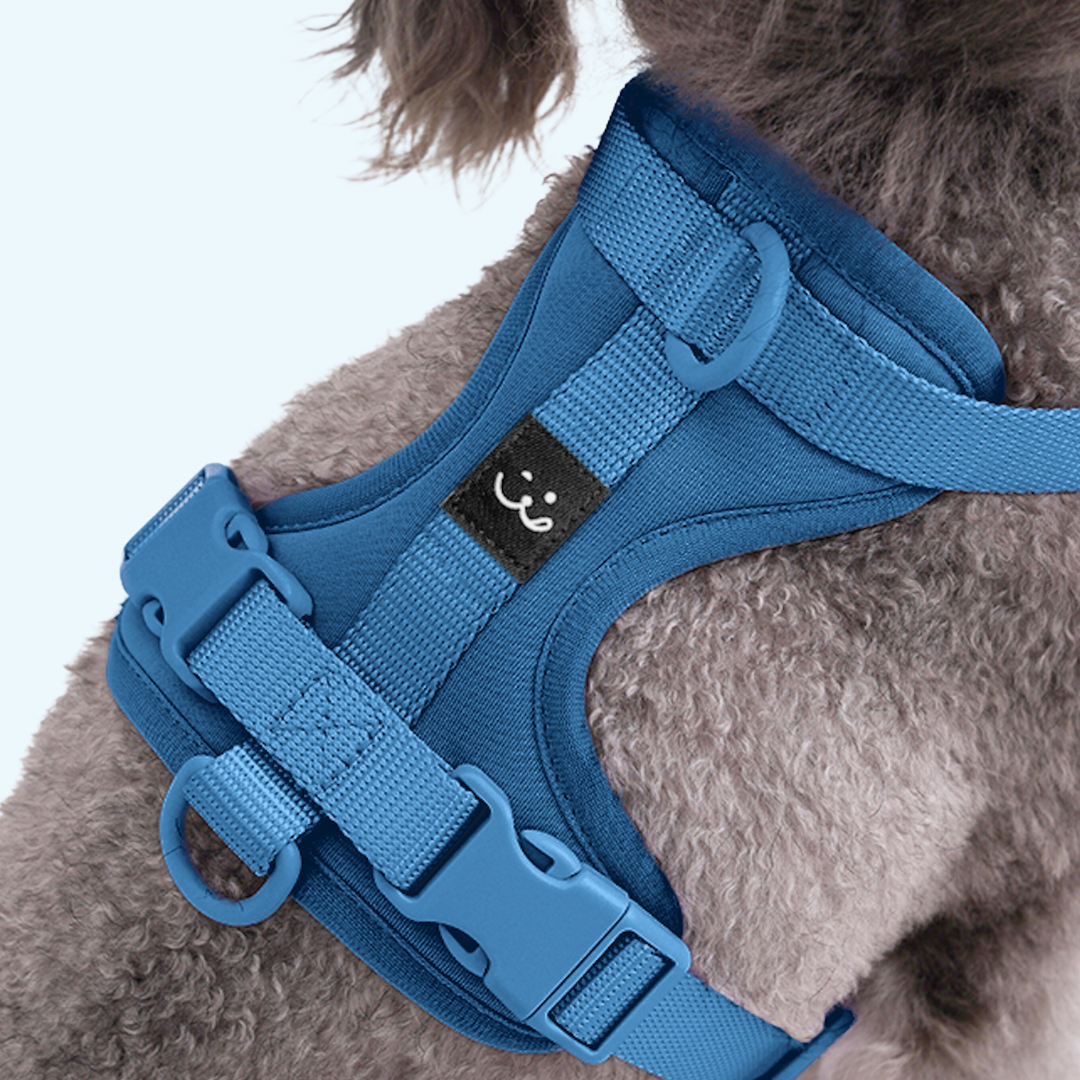 no pull dog harness