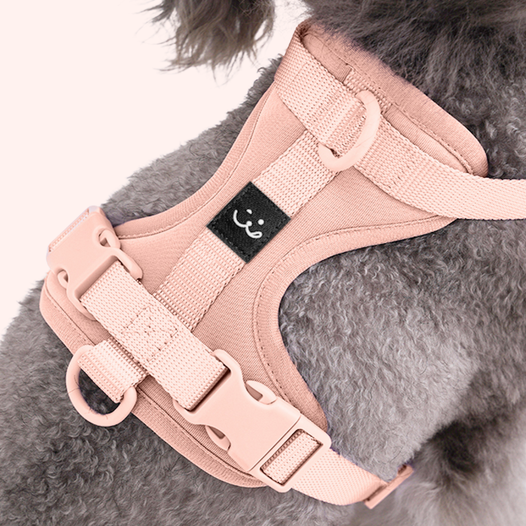 padded dog harness in pink