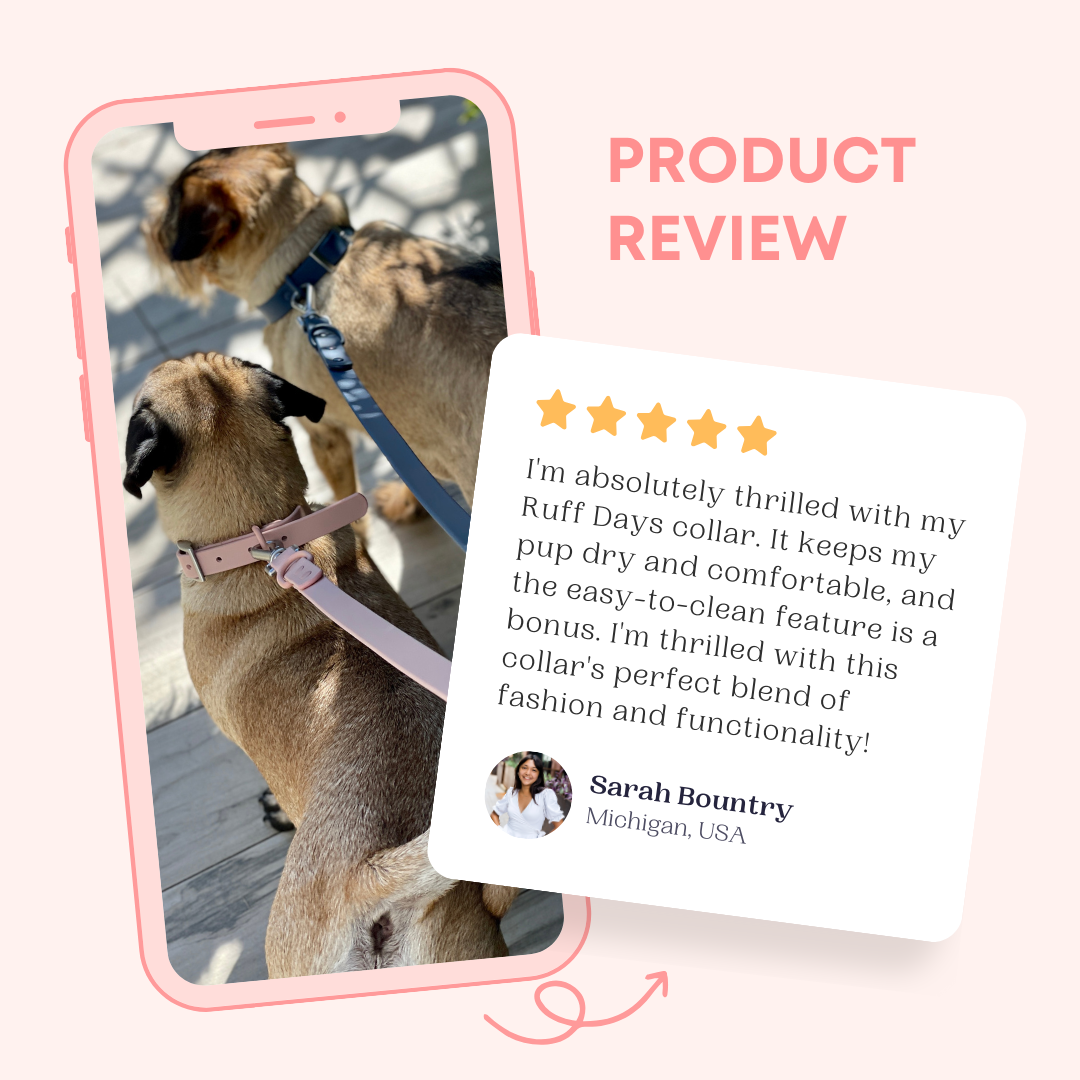 product review of a pvc dog collar