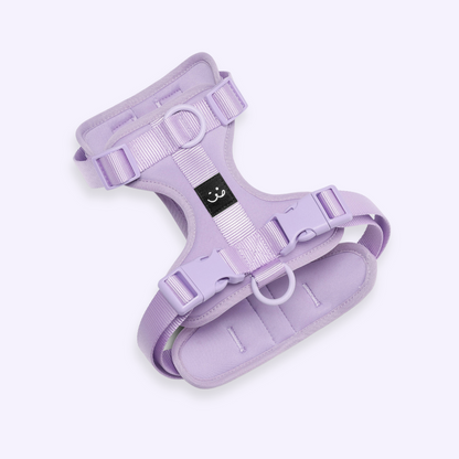 purple dog harness padded adjustable