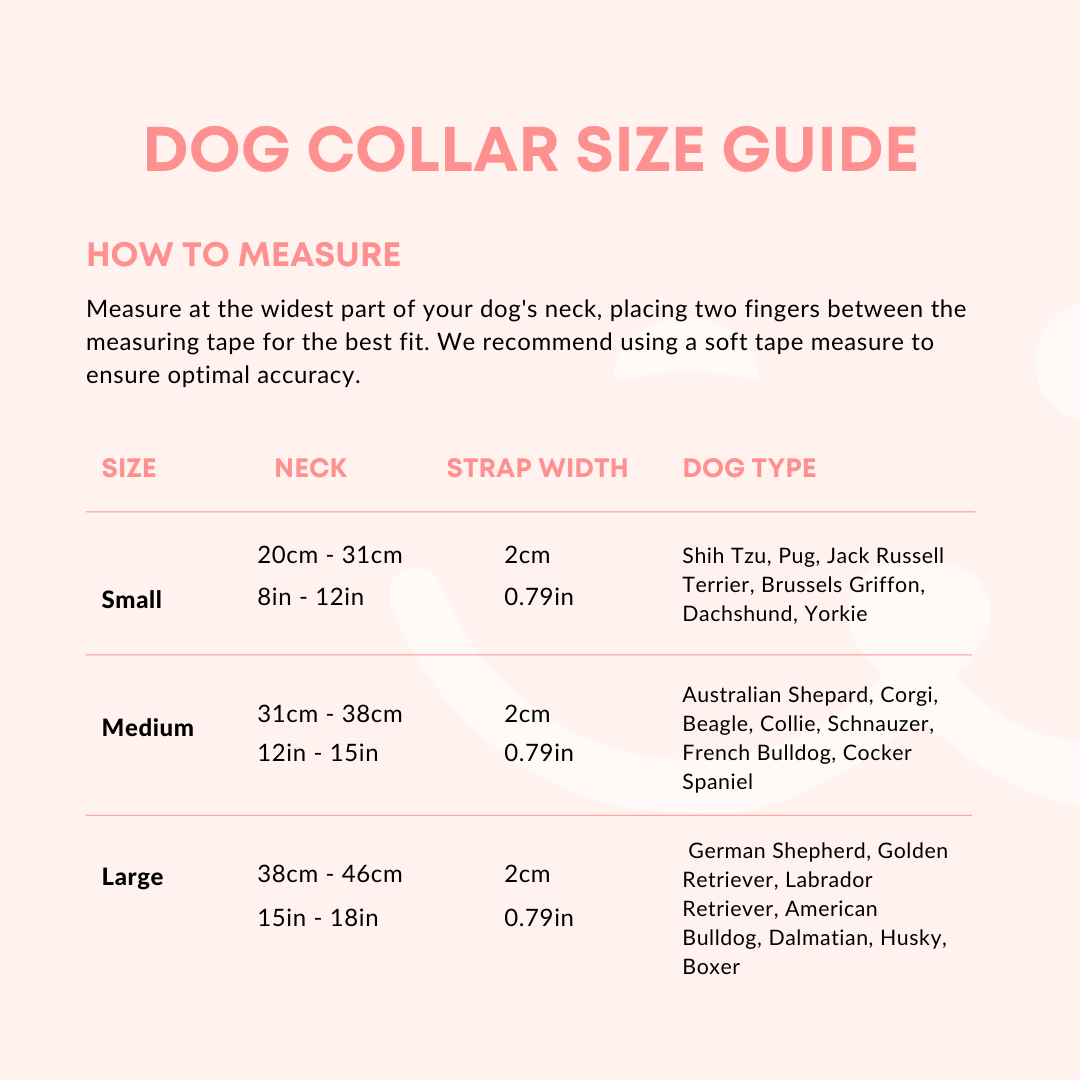 how to measure a dog collar