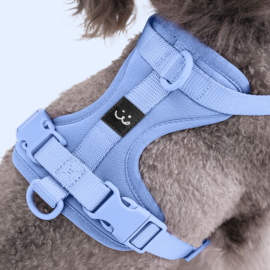 Harness - Light Blue