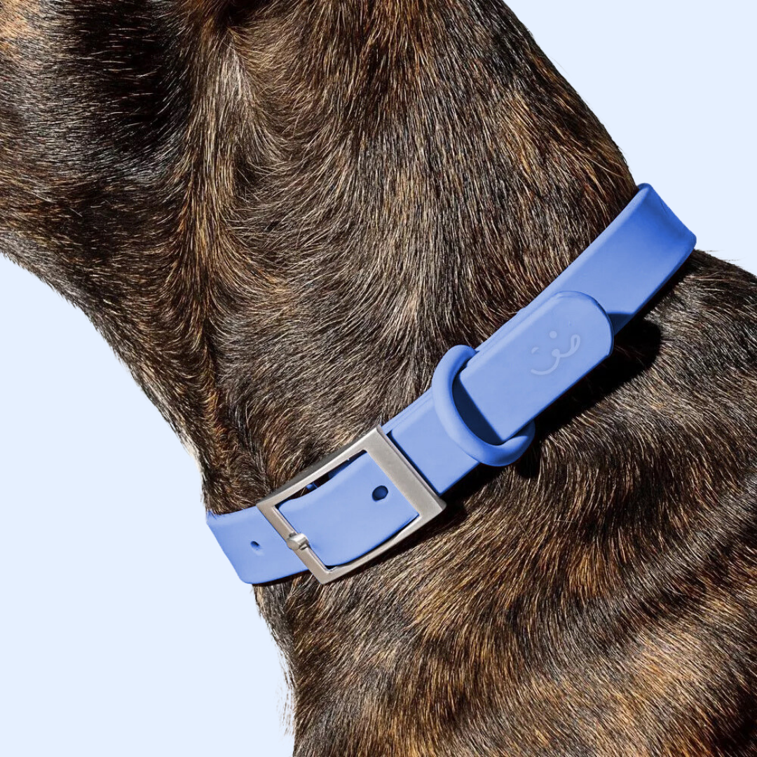 waterproof pvc blue dog collar